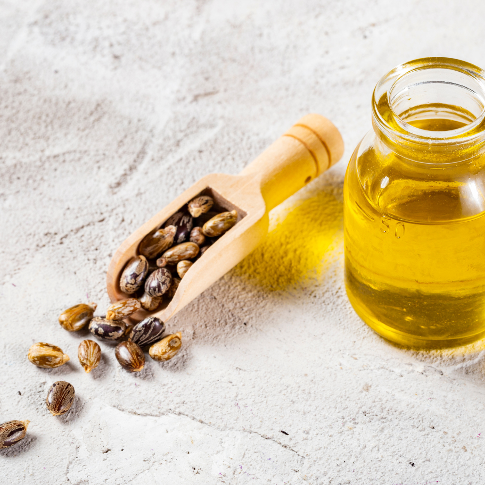 Castor Oil Seeds