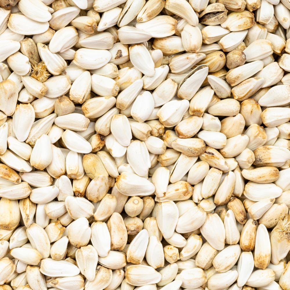 Safflower Seeds
