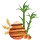 qlty6