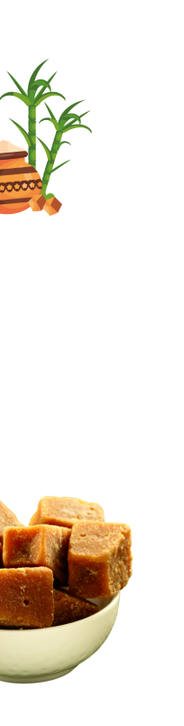 image_not_found